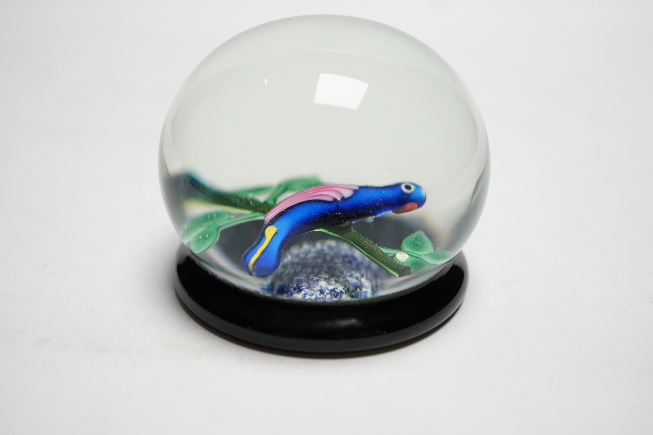 A Paul Ysart ‘blue parrot’ footed glass magnum paperweight, Caithness period, ‘PY’ cane, blue jasper ground, dark green glass foot, 8.5cm diameter, 7.2cm high, ex. Christie’s, Parkington collection sale, Lot 492